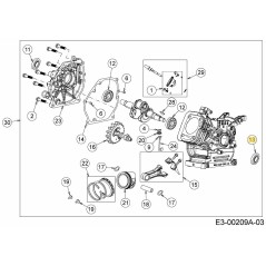 Dichtring 751-11370 Original MTD