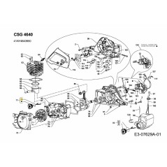 SEAL-OIL 7000 SER SG-2044722 ORIGINALE MTD