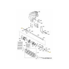 Vis hexagonale taraudée M6x16 DIN 7500-1 710-06324 d'origine MTD | Newgardenstore.eu