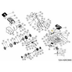 Boulon à bride hexagonale 092.70.048 d'origine MTD | Newgardenstore.eu