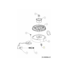 ZÜNDSCHALTER 725-06174 ORIGINAL MTD | Newgardenstore.eu