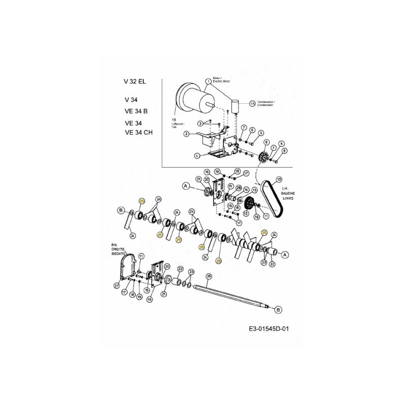 GUIDA DI SUPPORTO 731-2392 ORIGINALE MTD