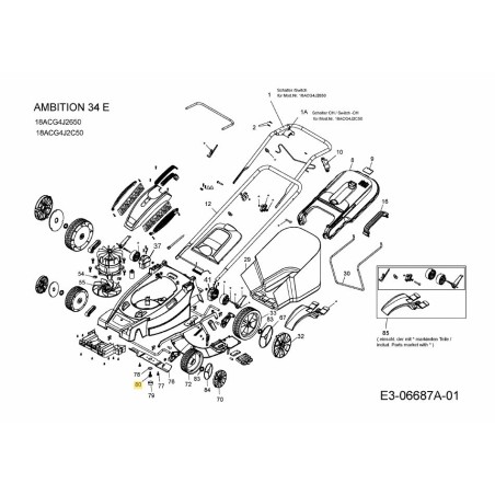 Vite 092.48.976 ORIGINALE MTD | Newgardenstore.eu