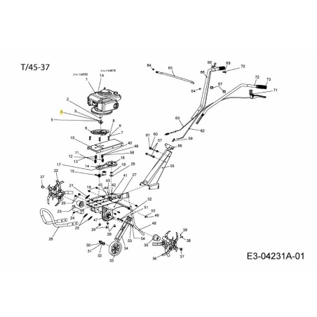 SPRING WASHER 092.65.004 ORIGINAL MTD | Newgardenstore.eu