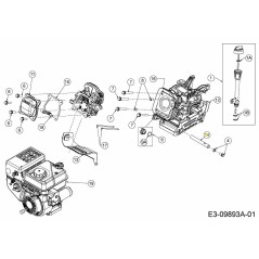 TUBO DE DRENAJE DE ACEITE 751-11350 ORIGINAL MTD | Newgardenstore.eu