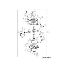 Bolzen 751-14734 Original MTD | Newgardenstore.eu