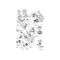 WASH:FLAT:10.5IDX30OD:DIN 9021 736-0702 ORIGINAL MTD | Newgardenstore.eu