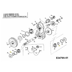 Sicherungsscheibe 28.3591.25 ORIGINAL MTD | Newgardenstore.eu