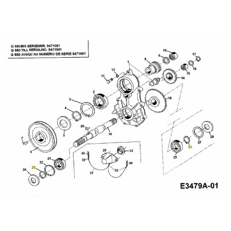 Sicherungsscheibe 28.3591.25 ORIGINAL MTD | Newgardenstore.eu