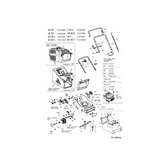 rondella 736-0695B ORIGINALE MTD