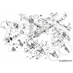 Vis M5x70 092.63.754 d'origine MTD | Newgardenstore.eu