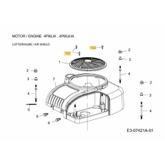 SELF-TAPPING BOLT 5.5X25 710-05303 ORIGINAL MTD | Newgardenstore.eu