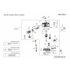 Rondelle 736-04561 ORIGINALE MTD