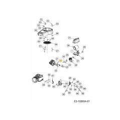 SCREW WASH HD TAPP 710-06447 ORIGINAL MTD | Newgardenstore.eu