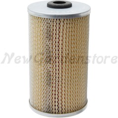 Filtro carburante trattorino tagliaerba compatibile LOMBARDINI 2175-014 2175014 | Newgardenstore.eu