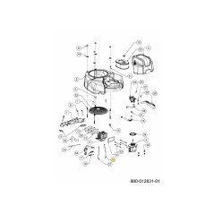 Tige de commande des gaz 751-15874 d'origine MTD | Newgardenstore.eu