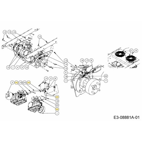ABRAZADERA: MANGUERA: 24 726-05017 ORIGINAL MTD | Newgardenstore.eu