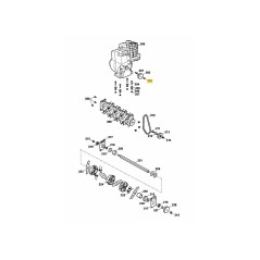 Vis hexagonale 0010010 ORIGINALE MTD | Newgardenstore.eu