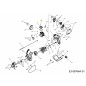 Vite 791-181025 ORIGINALE MTD