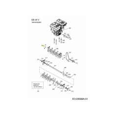 VITE 0010681 ORIGINALE MTD | Newgardenstore.eu
