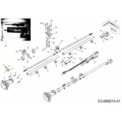 VITE M5X20 092.63.042 ORIGINALE MTD | Newgardenstore.eu