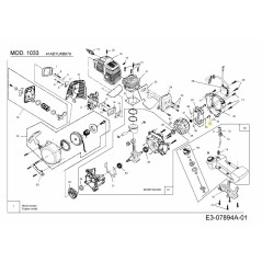 Vite 092.63.058 ORIGINALE MTD | Newgardenstore.eu