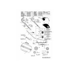 VITE 22.3419.17 ORIGINALE MTD | Newgardenstore.eu