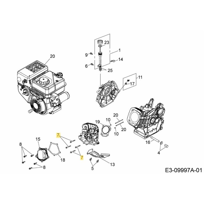 Vis M4-0,7x55 710-04965 d'origine MTD