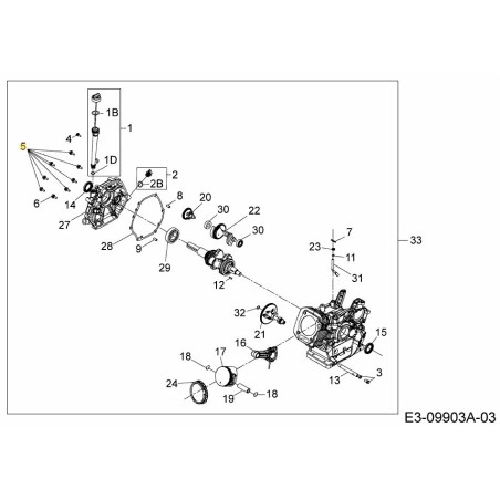 Vis M8-1,25x38 710-06061 d'origine MTD | Newgardenstore.eu