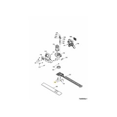 VITE 0012619 ORIGINALE MTD | Newgardenstore.eu