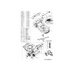 Vis à tête fraisée M6x1,0x10 : PANTRXI 710-04223 ORIGINAL MTD | Newgardenstore.eu