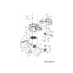 Écrou à oreilles M-10 712-06841 d'origine MTD