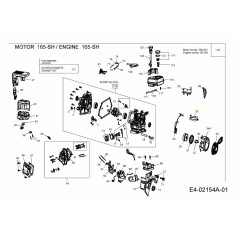 WINDSCHUTZSCHEIBE 092.49.290 ORIGINAL MTD | Newgardenstore.eu