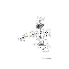 SET DI FASCE ELASTICHE DEL PISTONE 751-19470 ORIGINALE MTD | Newgardenstore.eu