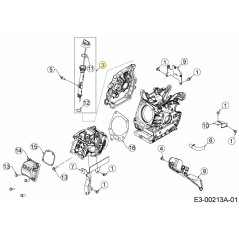 ASTINA DI LIVELLO DELL'OLIO 651-06055 ORIGINALE MTD