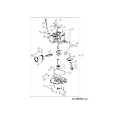 TUBO DE LLENADO DE ACEITE 731-10366 ORIGINAL MTD | Newgardenstore.eu