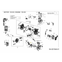 Vergaser-Reparatursatz, Major 751-10516 Original MTD | Newgardenstore.eu