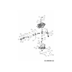 SET DI FASCE ELASTICHE DEL PISTONE 751-15244 ORIGINALE MTD | Newgardenstore.eu