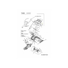 AGARRE 720-0313 ORIGINAL MTD | Newgardenstore.eu