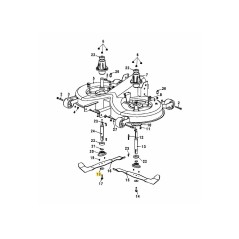 Unterlegscheibe 6205549 ORIGINAL MTD | Newgardenstore.eu