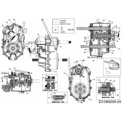 Ball-Detent .375 4X4 741-04209 Original MTD | Newgardenstore.eu