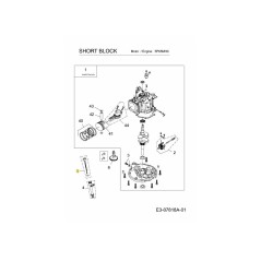 VARILLA DE MEDICIÓN 751-12696 ORIGINAL MTD | Newgardenstore.eu