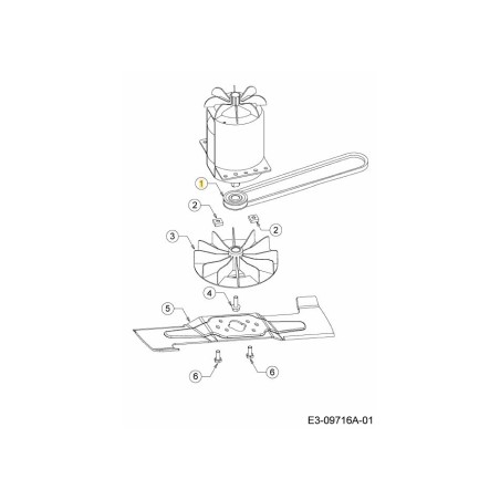 BELT PULLEY 4625303 ORIGINAL MTD | Newgardenstore.eu