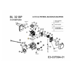 Joint de cylindre 753-05681 d'origine MTD