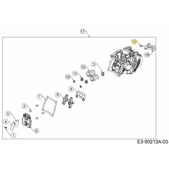 VALVOLA DI ASPIRAZIONE 751-16909 ORIGINALE MTD | Newgardenstore.eu