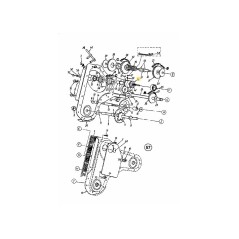 Zahnrad, 17T Antrieb, drittes 717-1409 Original MTD | Newgardenstore.eu