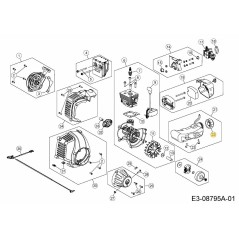 CAP-GAS TANK 841-011722S ORIGINAL MTD | Newgardenstore.eu