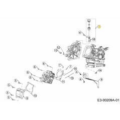 VARILLA DE MEDICIÓN COMPLETA 631-05020A ORIGINAL MTD | Newgardenstore.eu