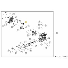 ATTREZZATURA DEL GOVERNATORE 751-16946 ORIGINALE MTD | Newgardenstore.eu