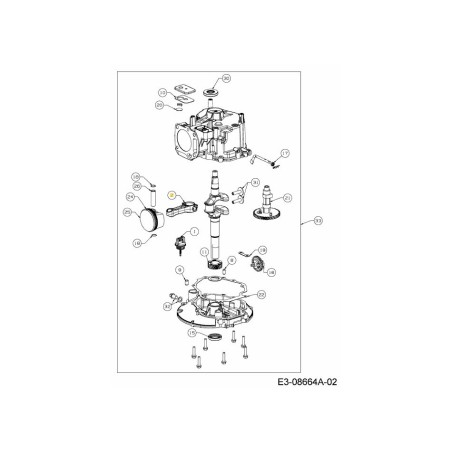 BIELLA 651-05163 ORIGINALE MTD | Newgardenstore.eu
